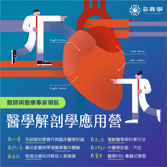 2024暑假 醫學解剖學應用營(圖)